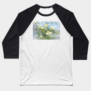 White Flowering Dogwood Blossoms in Springtime Baseball T-Shirt